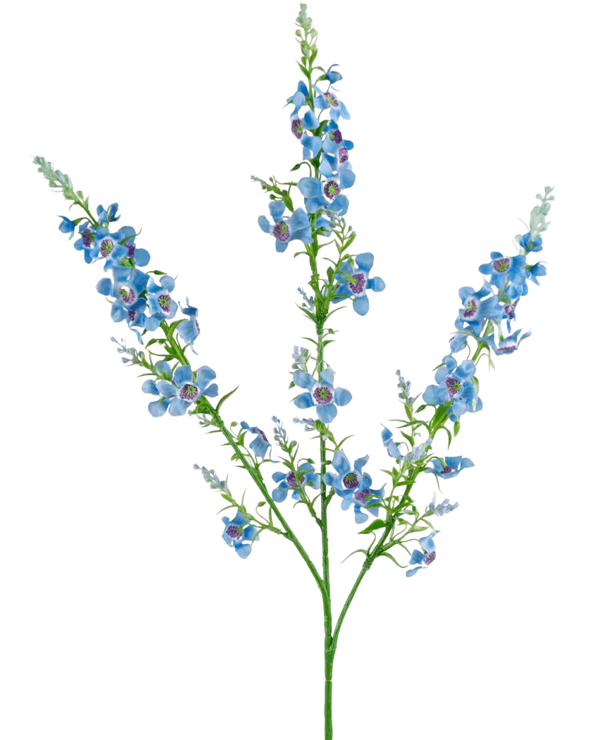 Miniatuur 1