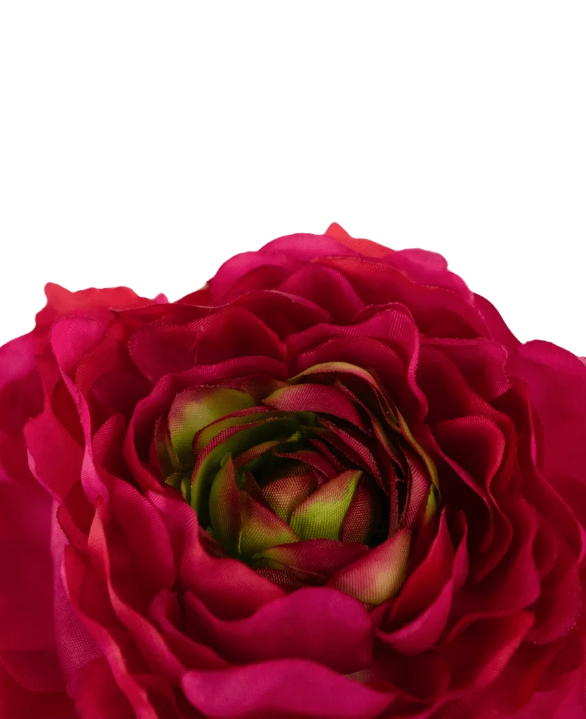 Miniatuur 2