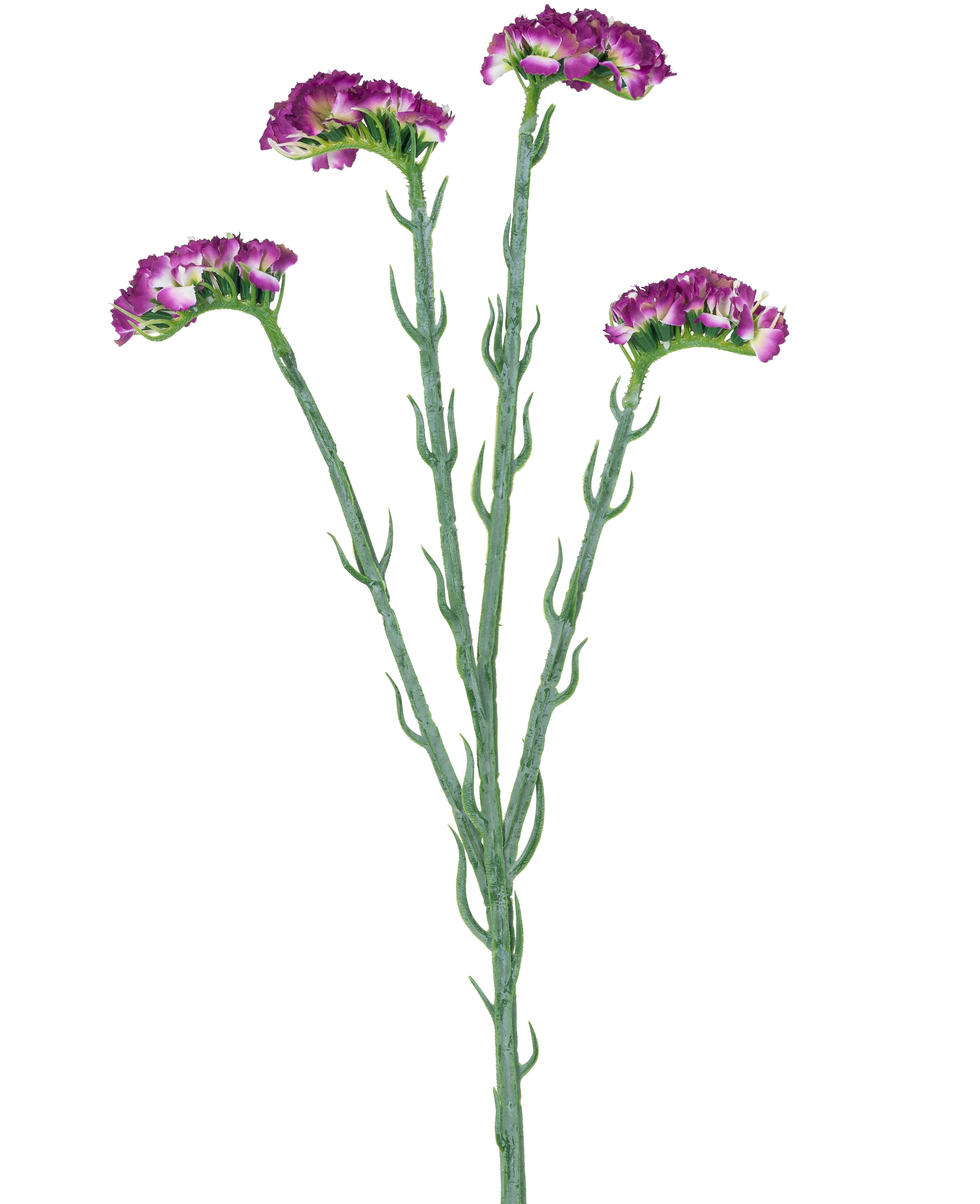 Miniatuur 1